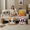 Anime SiamLIPu Pillow Covers Cartoon Sofa Decorative Home Double-sided Printing Short Plush Cute Cushion Cover