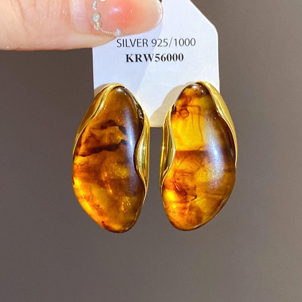 Stainless Steel Resin Amber Earrings Translucent Drop Hoops Translucent Women's Accessories