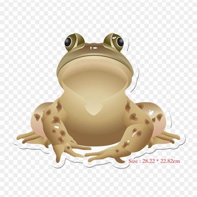 Frog Clip Art Iron On Heat Transfer Printing Vinyl Patches Sticker for Clothes DIY Appliques Washable Patches