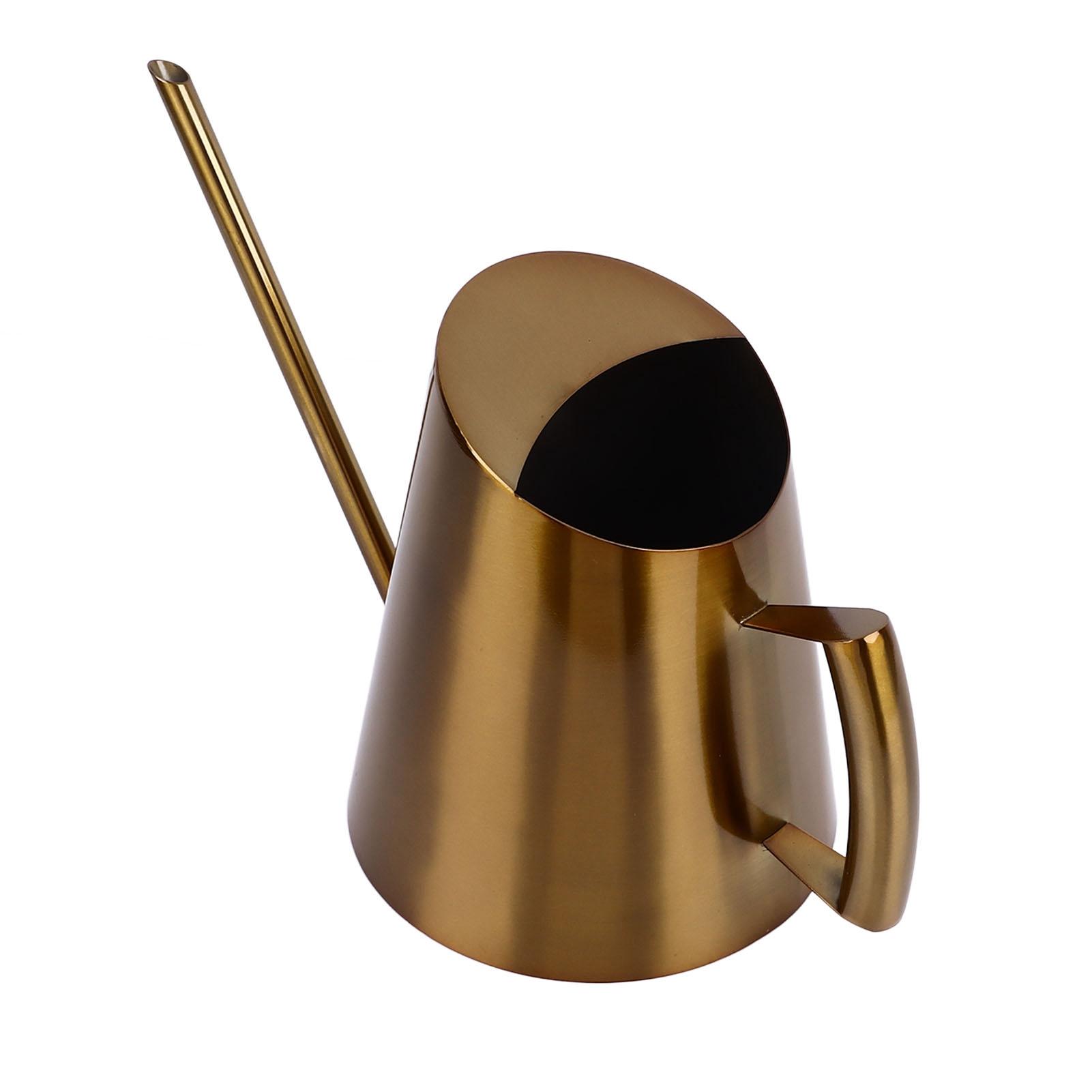 

Лейка из нержавеющей стали в винтажном скандинавском стиле с длинным носиком для суккулентного сада бонсай