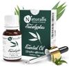 Naturalis Eucalyptus Oil - Pure Eucalyptus Essential Oil for Aromatherapy, Skin & Hair Care, Massage, Steam Inhalation, and Diffuser - Therapeutic