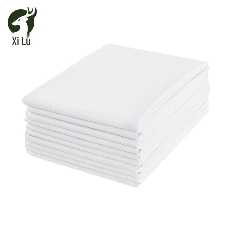 White Institutional Bed Sheet