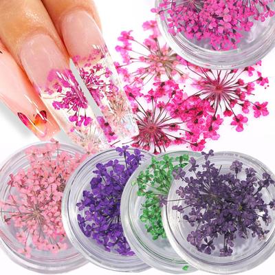 1 Box Decorative Fine Texture Stylish Wide Application Colorful Dried Flower Nail Art Decoration Gift Decorations