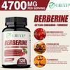 Berberina HCl 4700mg - Cannella di Ceylon - Supporto per la Glicemia, Riduce il Colesterolo