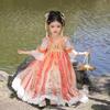 Girls Spring Hanfu Dress Embroidered Ruqun Fairy Traditional Chinese Costume for Kids Performance