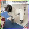 Warm clothes for small and medium-sized dogs, overalls, work clothes(m)