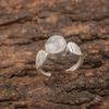 Natural Rainbow Moonstone Gemstone Handcrafted 925 Sterling Silver Jewelry Ring RR-1-15