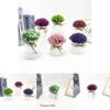 Plastic Veronicastrum Caulopterum Flower Pot With Rope Butterfly Tie For Home Decor And Garden Display