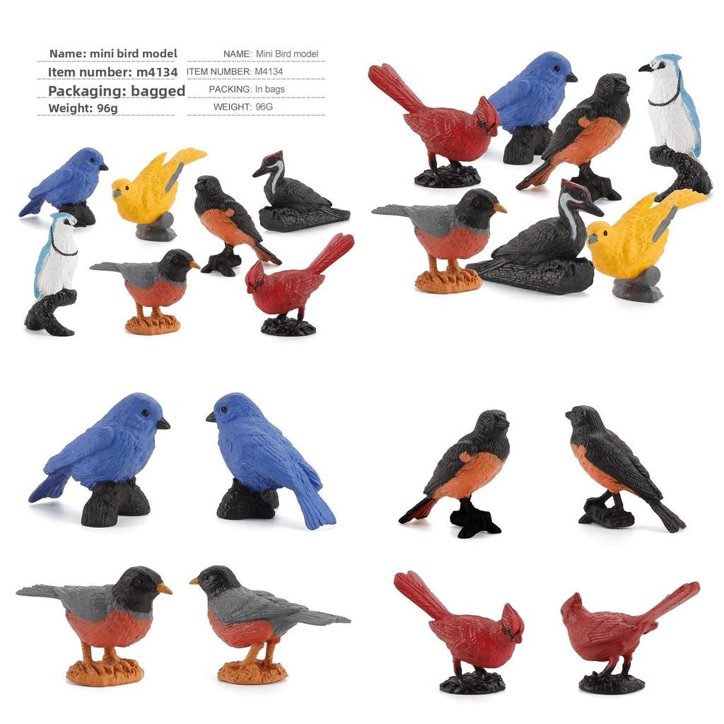 Mini Bird Model Set With Pvc Material For Collection And Display