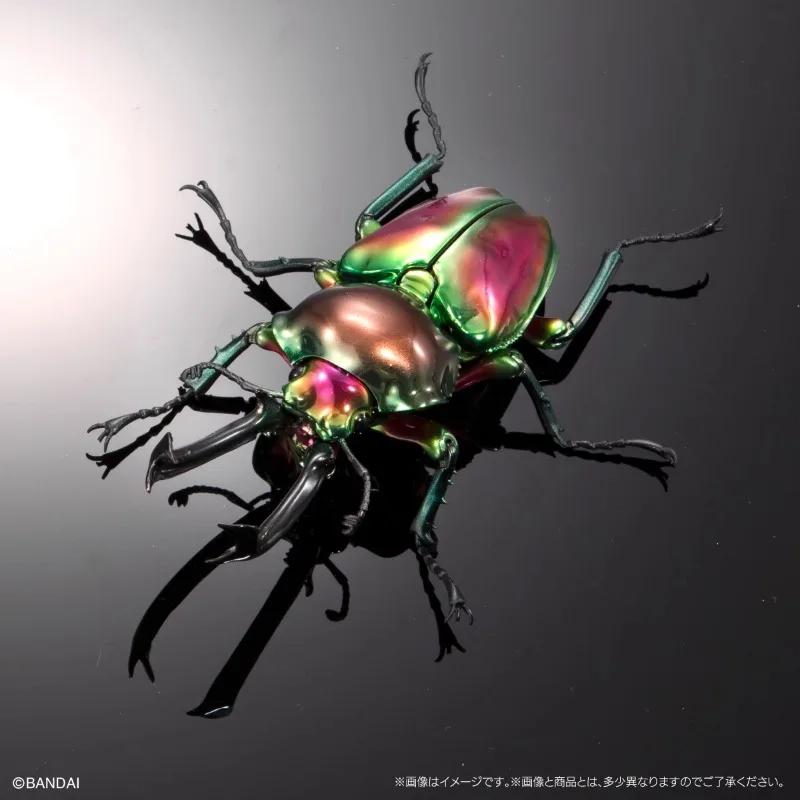 Original Twisted Egg Biological Encyclopedia Scarab Beetles Simulation Model Ornaments Action Figure Toys