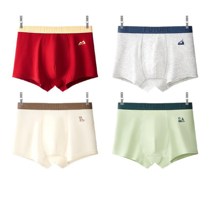 A-Ware Baumwoll-Boxershorts für Jungen und Jugendliche - Kollektion Jahr des Pferdes