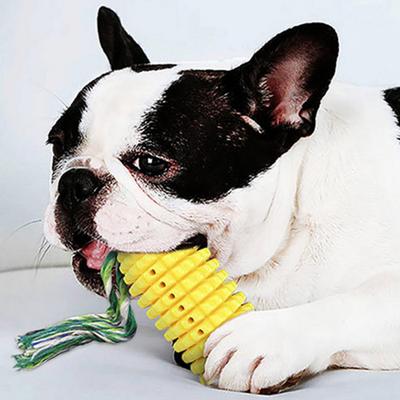 Escova de dentes de fio de milho para cães de estimação Dingdong 5,5 x 14,7 cm, amarela, 1 peça