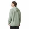 Helly Hansen Core Graphic Hoodie