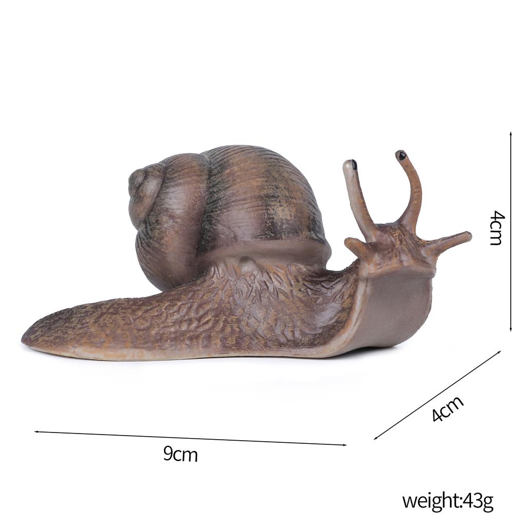 Realistic Snail Action Figure Toy - Collectible Animal Model, Educational Kids Gift