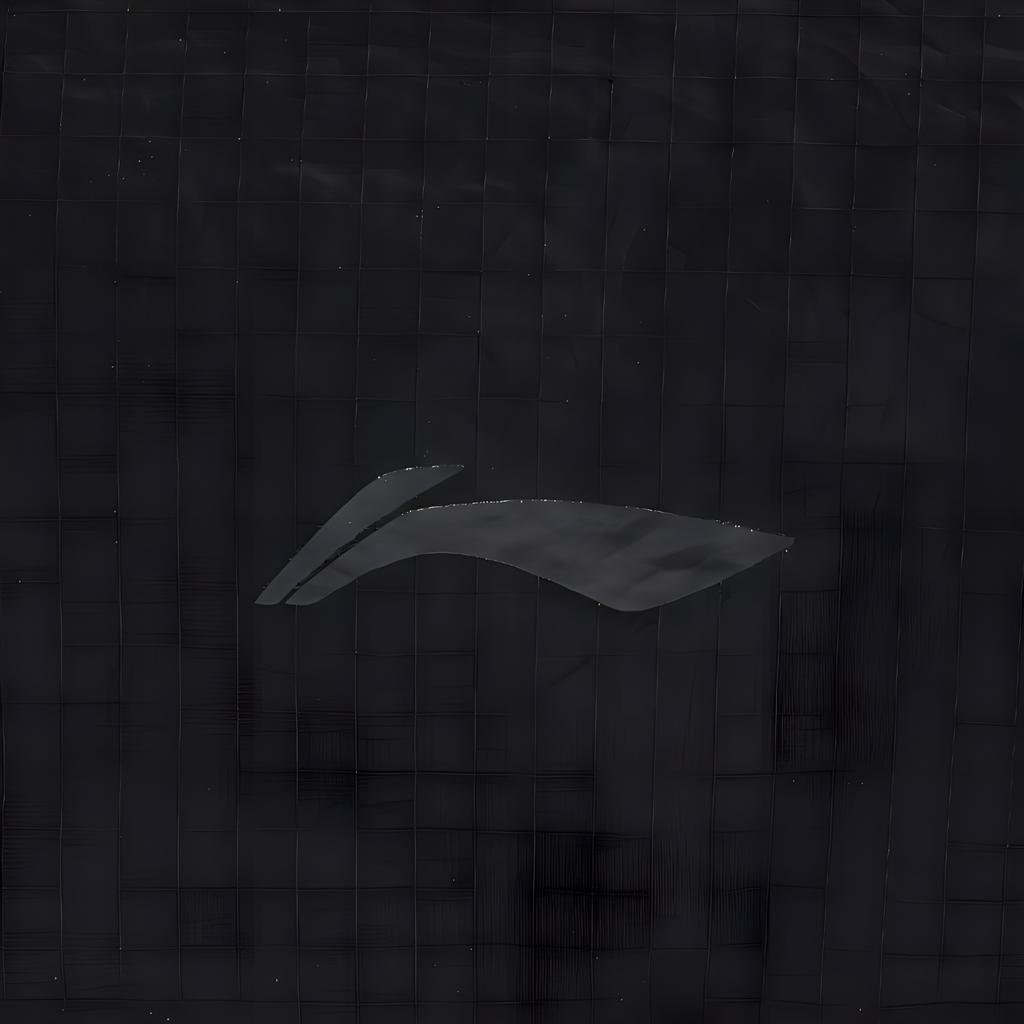 New LiNing Fitness Series Nylon Crossbody Bag, Shoulder Bag Unisex Black ABDV105-1