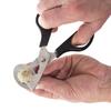 Stainless Steel Quail Egg Scissors Cutter 14.5cm