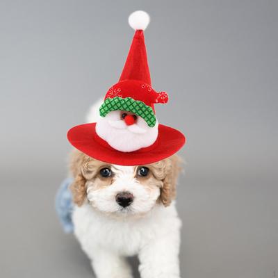 Christmas Hat for Pets, Pointed Cap, Pet Outfit, Cartoon Decorative Headpiece, Cat Head Covering