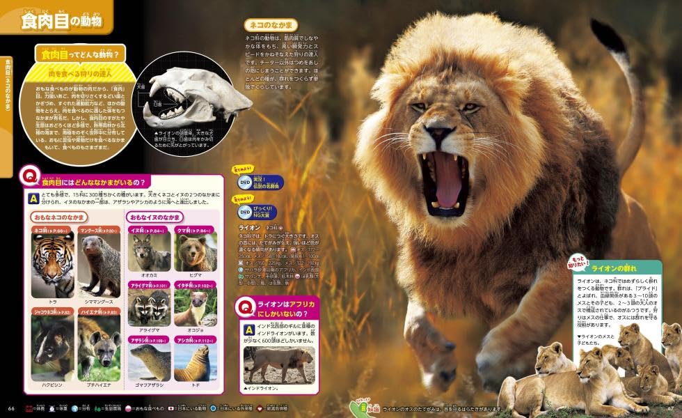 Animals, New Edition, Second Edition (Kodansha's Moving Picture Book MOVE)