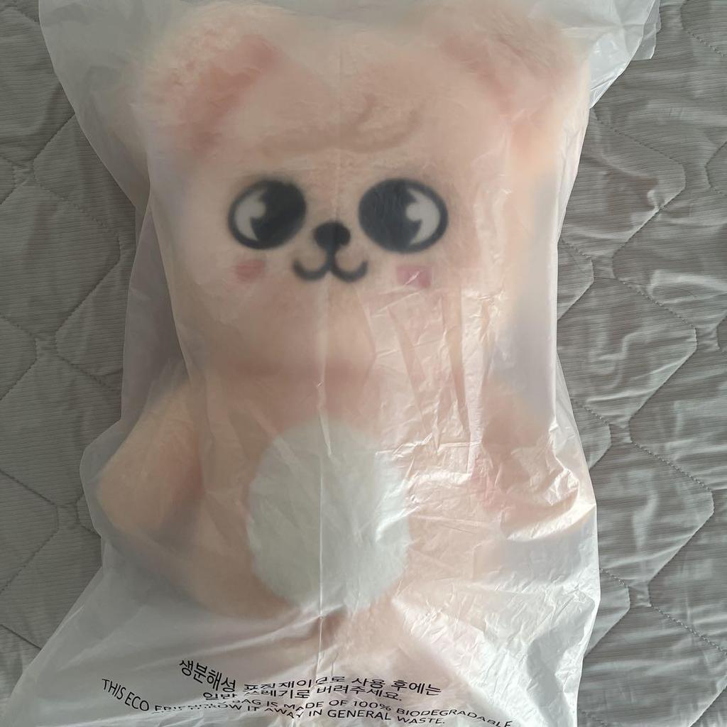 [USED] Stray Kids SKZOO Seungmin Puppy Teddy Bear