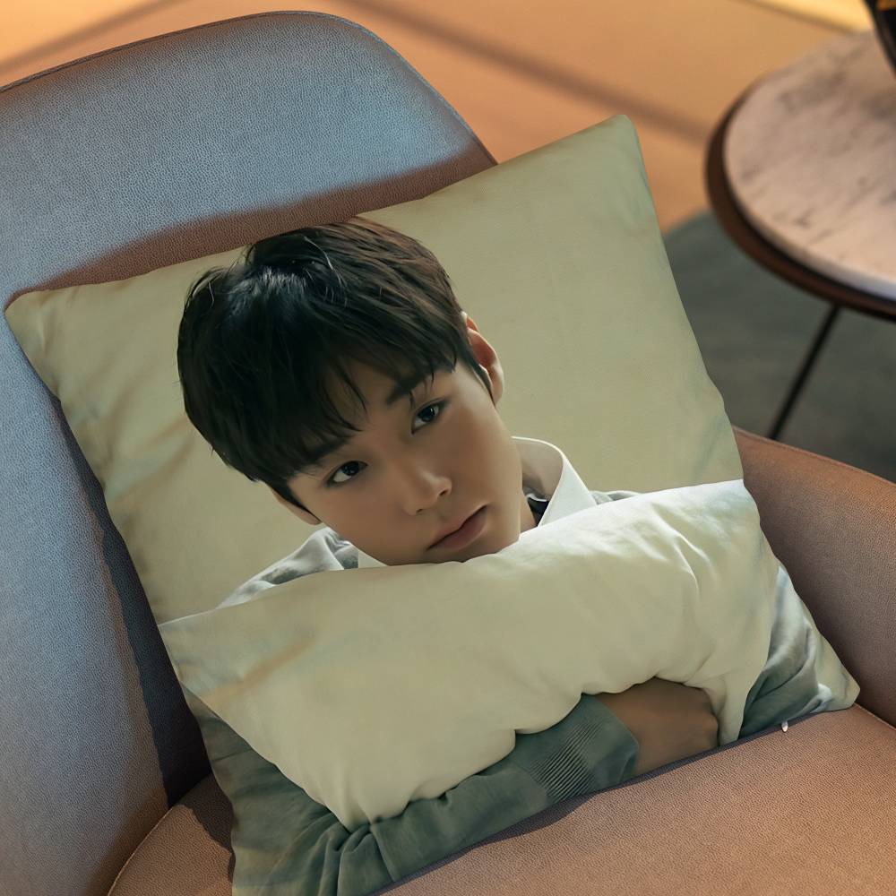 Park Jihoon Weak Hero Class Choi Hyun Wook Pillow Case Sofa Living Room Bedroom Headboard Backrest Cushion Square Cushion Nap