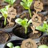 50 pezzi etichette per piante di bambù, etichette da giardino con pennarello per fiori, piante grasse, fiori decorativi, cartelli per piante, marcatori da giardino