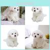 Entzückendes weißes Malteser Plüschtier, mit Fasern gefüllt, langhaariges Stofftier, 33x24x16cm/38x26x21cm