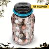 Digital Piggy Bank for Kids - Counts & Saves All US Coins. Perfect Gift for Christmas, Birthday & Holidays! 