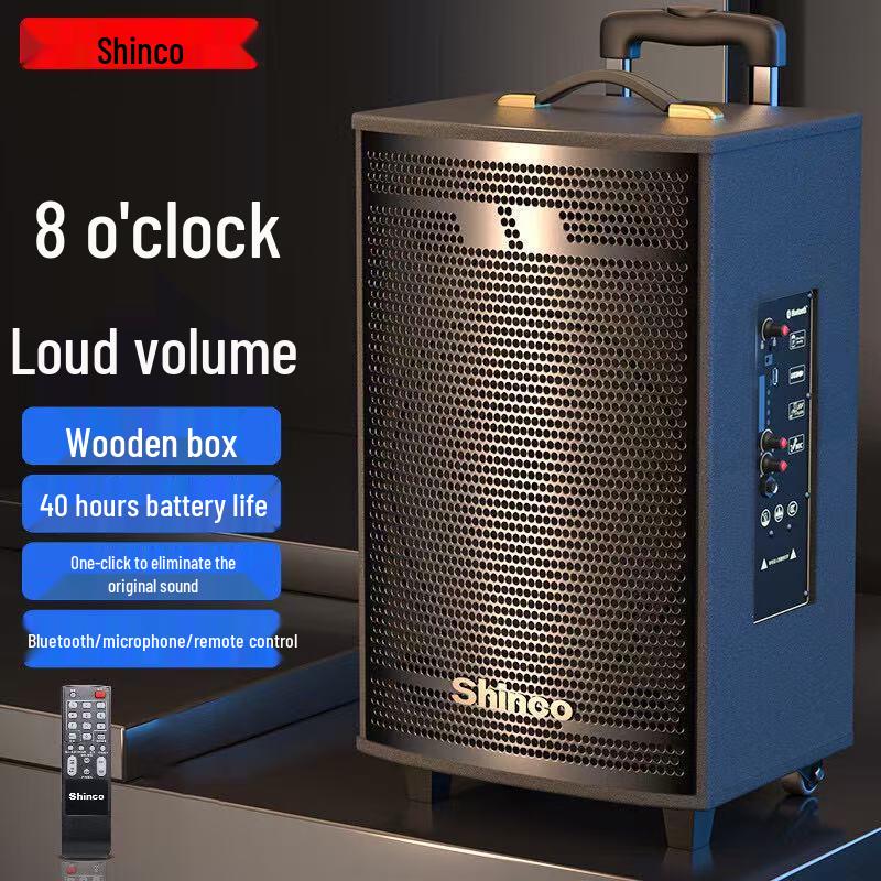 Shinco Portable Karaoke PA Speaker