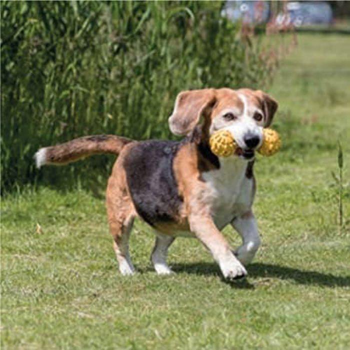 Jouet Pour Chiens - TRIXIE - Poids 17 Cm - Caoutchouc Naturel - Spécial Chiens Aveugles - Clochette Intégrée