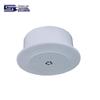 Baosheng Voice-Controlled Ceiling Speaker (CN Version)