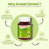 Baidyanath Amlaki 60 Tablets X Pack of 3 Natural Health Booster for Hair Skin Digestion Metabolism Support