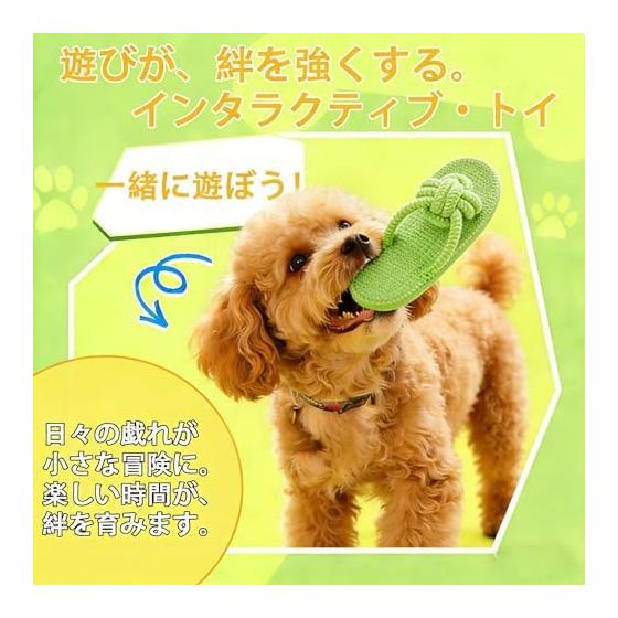 [Popular Carrots & Slippers] Dog Toy Set of 4, Dog Rope Toy, Stress Relief, Teeth Brushing, Dog Toy, Dog Toy, Chew Rope, String Toy for Dogs, Pets,