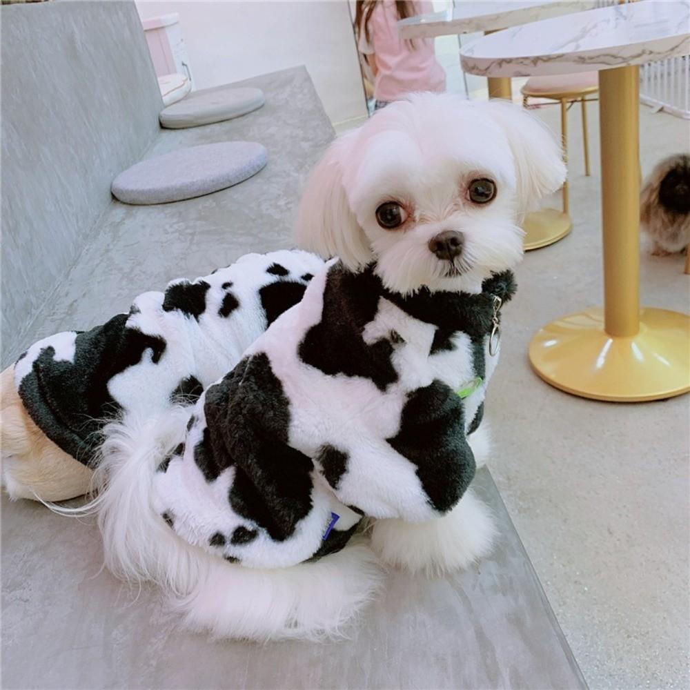 Manteau d'hiver chaud pour chien Manteau d'hiver en polaire Vêtements pour petit chien Nouveaux vêtements chauds pour animaux de compagnie pour petits et moyens chiens