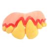 10 Style Funny Dentures Shocker Ugly Fake Teeth Fake Denture Teeth  Halloween Decor Prop