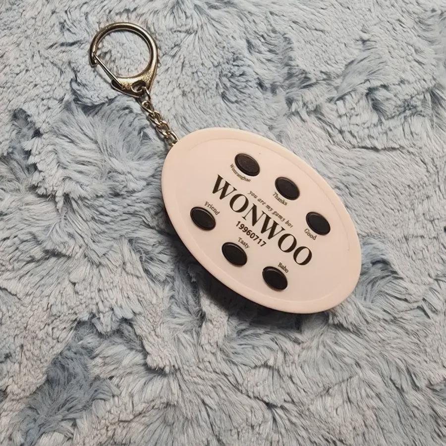 Seventeen Wonwoo Voice Keyring Photocard