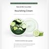 Deoproce Natural Skin Krem odżywczy z ogórkiem 100g