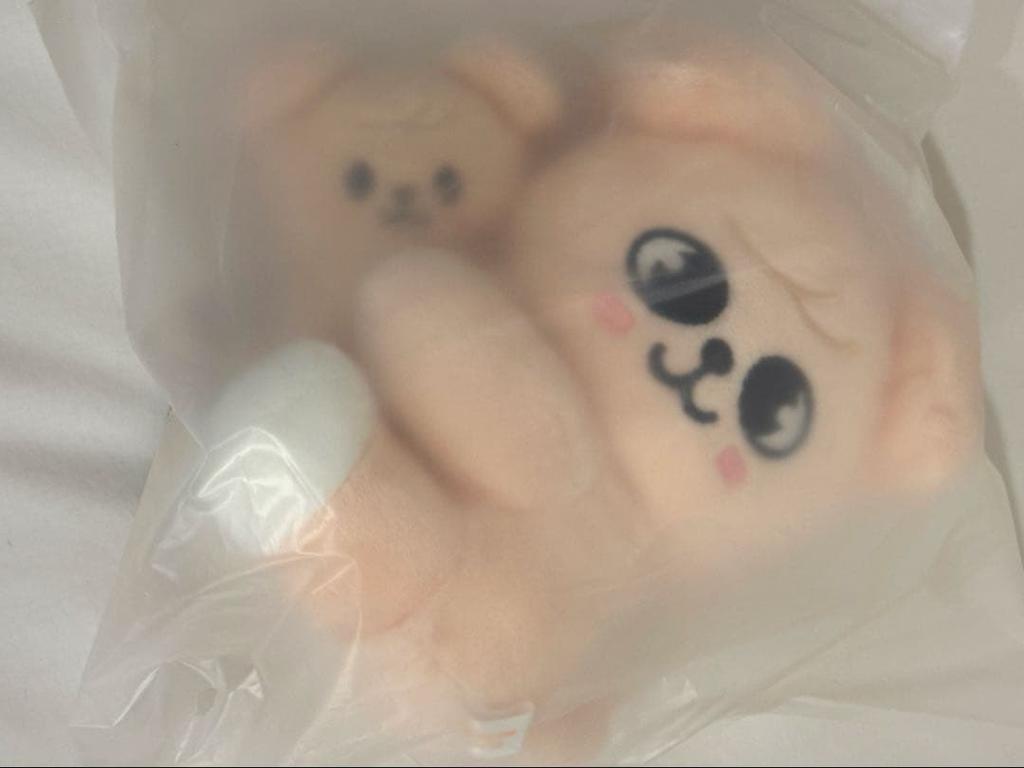 [USED] Stray Kids Dominate Pop-Up Puppy Magnet Plush Toy Seungmin