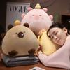 Cartoon Cute Capybara Hand Warmer Pillow Blanket Plush Toy Capybara Doll Girl Office Nap Air Conditioner Blanket