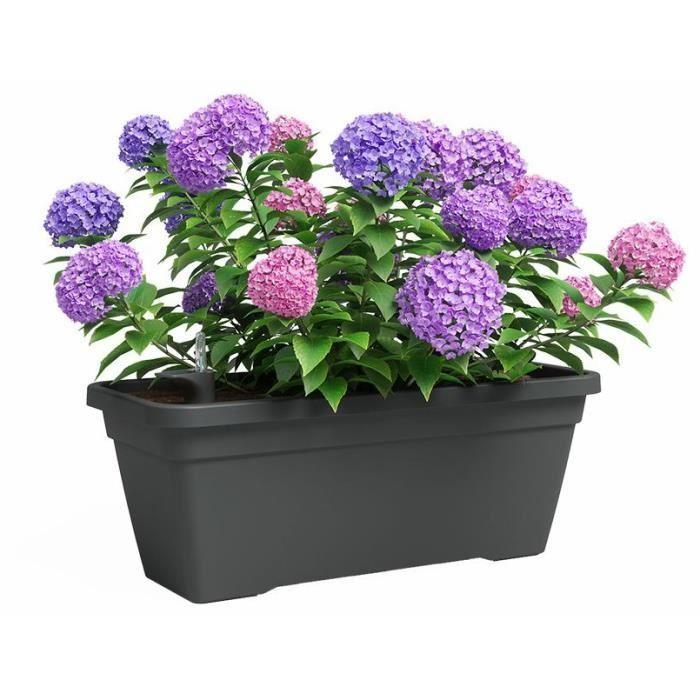 Jardinière - Plastique - Anthracite - Rectangulaire - L57,9 x P24,3 x H22cm - ARTEVASI