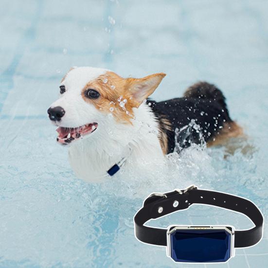 Pet Tracker Adjustable Virtual Fence IP68 Waterproof Location History Live Tracking Precise Position Plastic