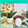 Phalaenopsis Flowers Artificial Decorative Plant For Home And Decoration Event