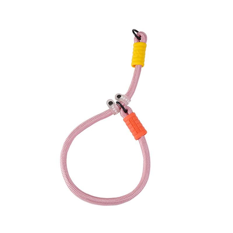 Heavy-Duty Nylon & Leather Dog Training Leash with Anti-Riot P Chain