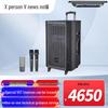 Xun'erwei Professional Audio & Video Solutions (CN version)