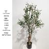Olive Tree Potted Plant - Indoor Decor Simulation for Living Room