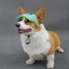 Breathable Mesh Baseball Cap for Dogs Featuring Ear Holes - a Trendy Light Green Hat Suitable for Golden Retrievers, Corgis