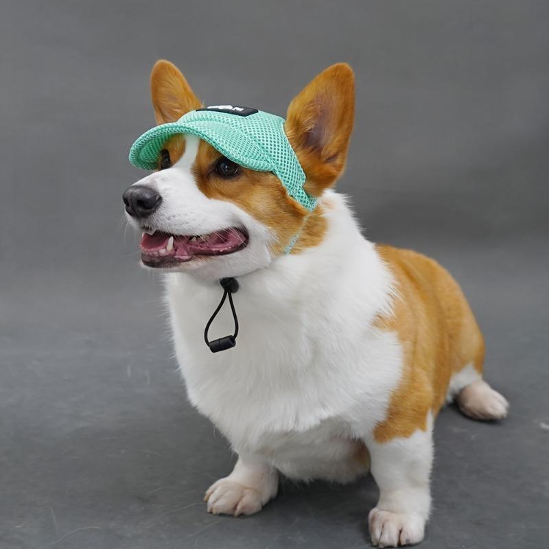 Breathable Mesh Baseball Cap for Dogs Featuring Ear Holes - a Trendy Light Green Hat Suitable for Golden Retrievers, Corgis