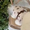 Pet Autumn And Winter Clothing Dog Cotton Coat Traction Bichon Pomeranian Schnauzer Yorkshire Terrier Small Dog Teddy Clothes