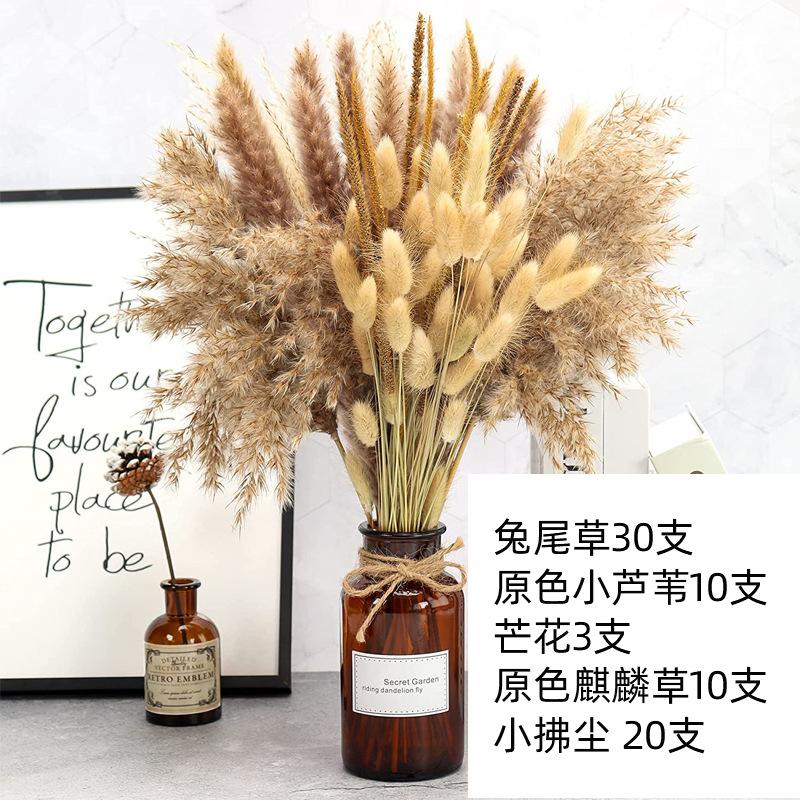 Combination Dried Bouquet, Small Reed Hare Tail Grass Whisk Dust Nordic Style Home Decoration Flower Arrangement Mix And Match Dried Flowers