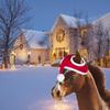 Christmas Festive For Christmas Horse Winter Christmas Hat Unique To Up Christmas Horse Polyester Horse Add Christmas
