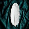 10inch Ceramic Feather Shape  Plate Gold Porcelain Dessert Jewelry Plates Dish Dinnerware Sushi Tableware Storage Tray